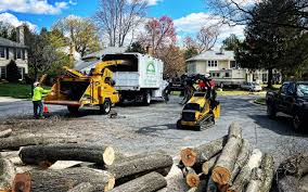 Best Tree Preservation Services  in West Jefferson, NC